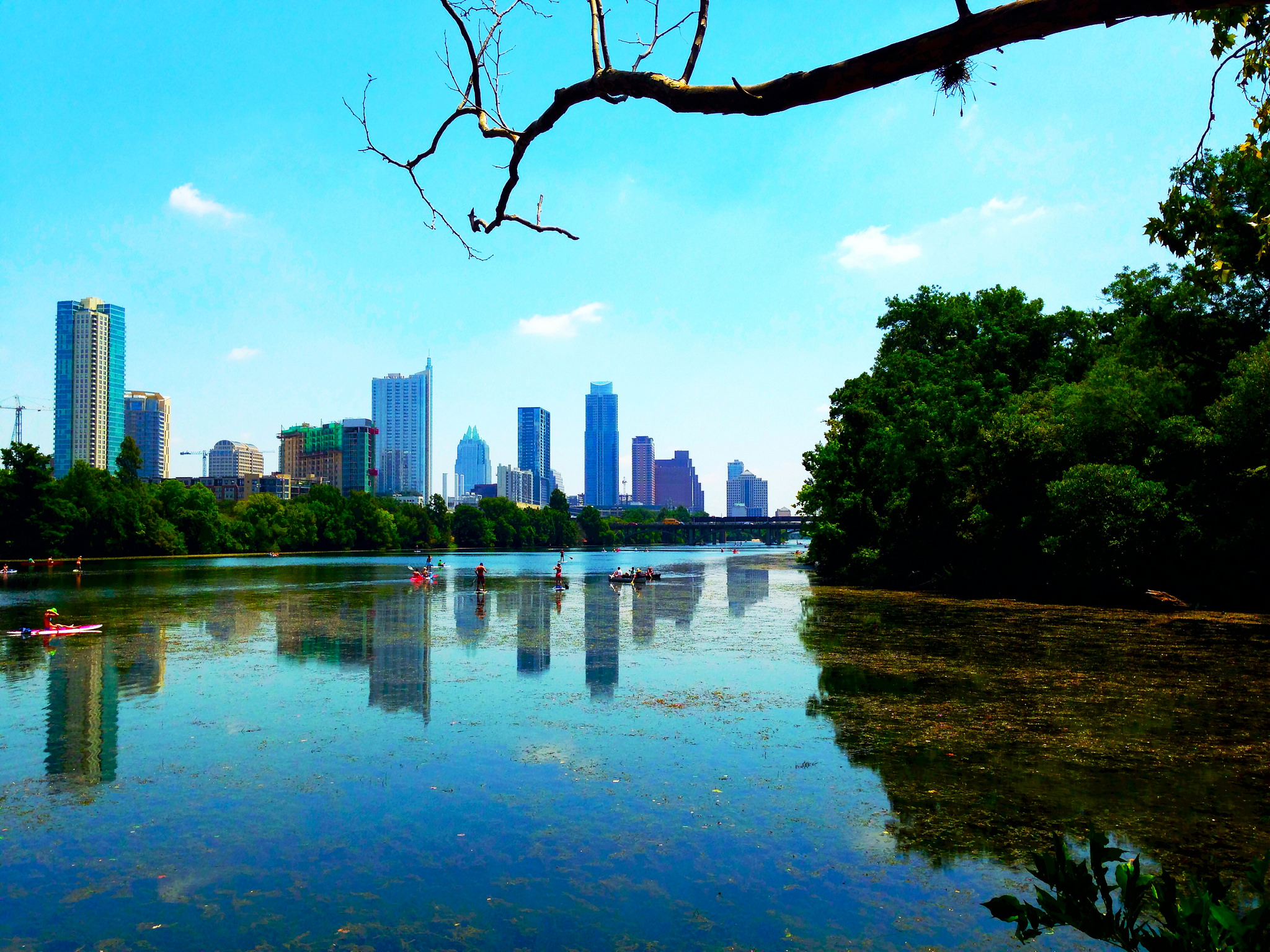 a picture of lady bird park in austin texas.